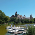 IMG 20240730 121031